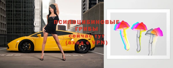 сатива Абдулино