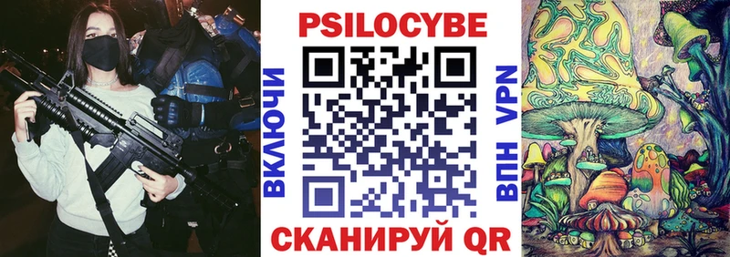 мега ССЫЛКА Ефремов Псилоцибиновые грибы Psilocybe