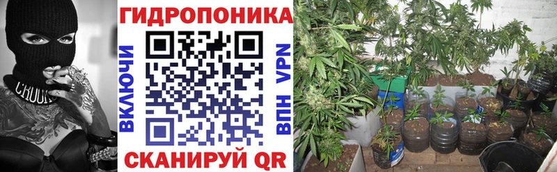 Бошки марихуана THC 21%  сайты даркнета формула  Ефремов 